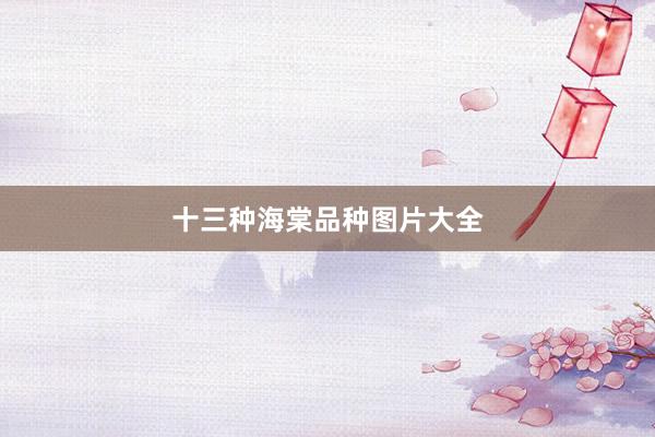 十三种海棠品种图片大全