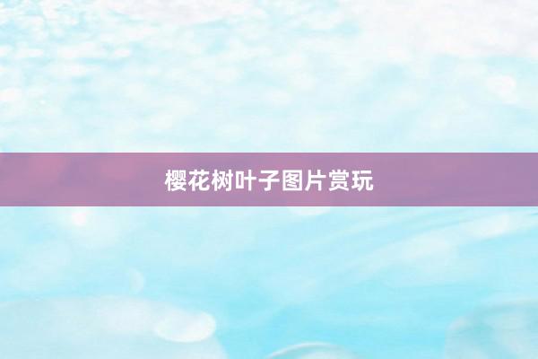 樱花树叶子图片赏玩